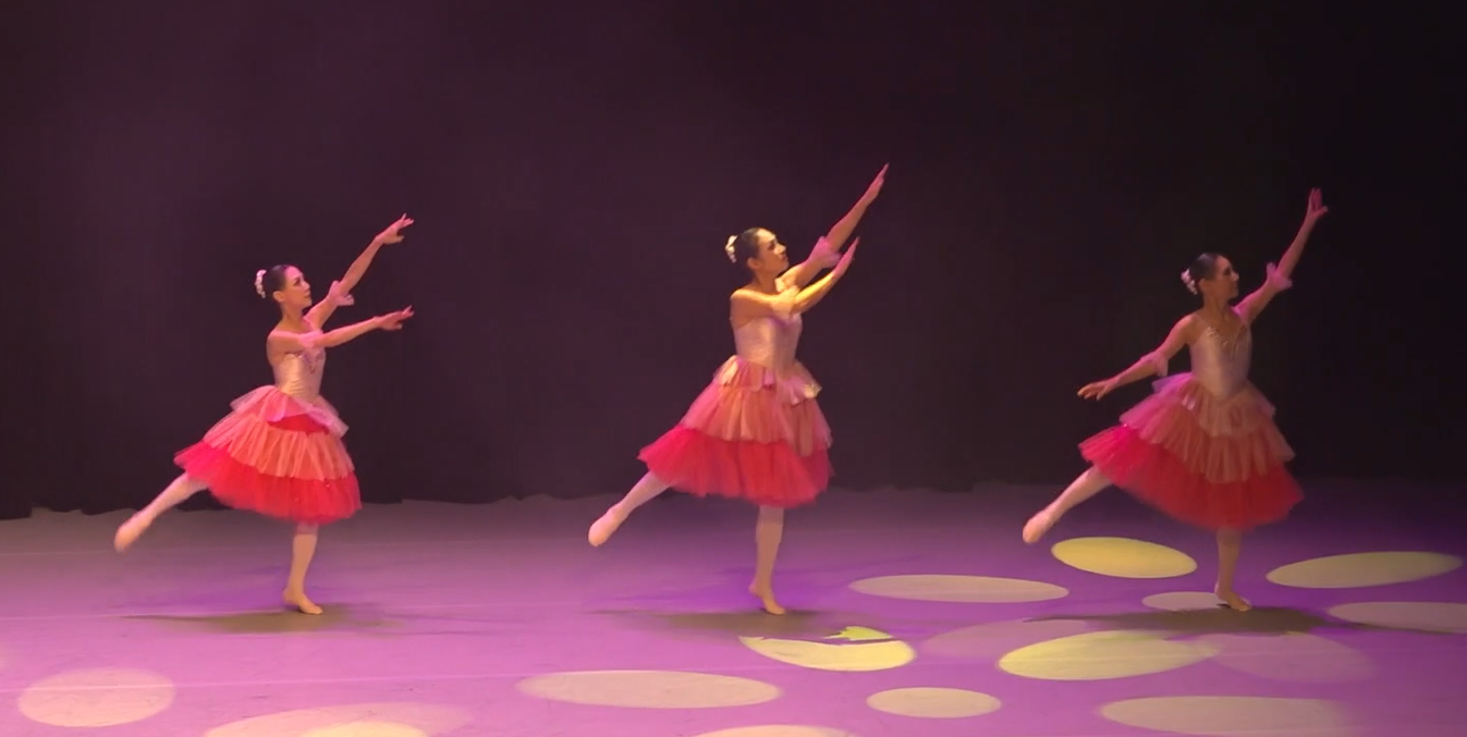 IRIS BALLET 활동 사진 2
